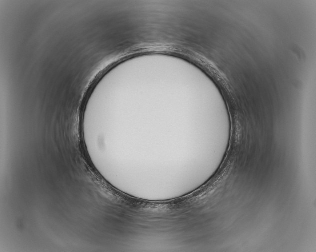 X0000110691174200907101142