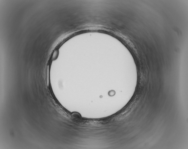 X0000110691175200907101142