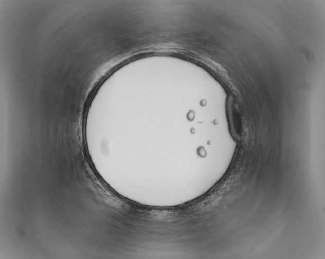 X0000110691176200907101142