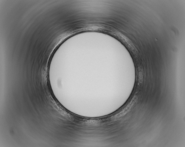 X0000110691178200907101142