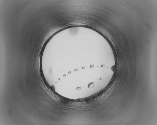 X0000110691179200907101142