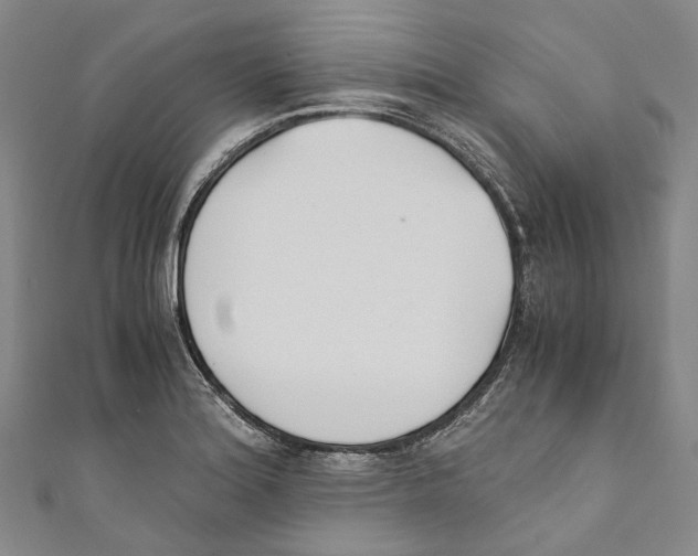 X0000110691180200907101142