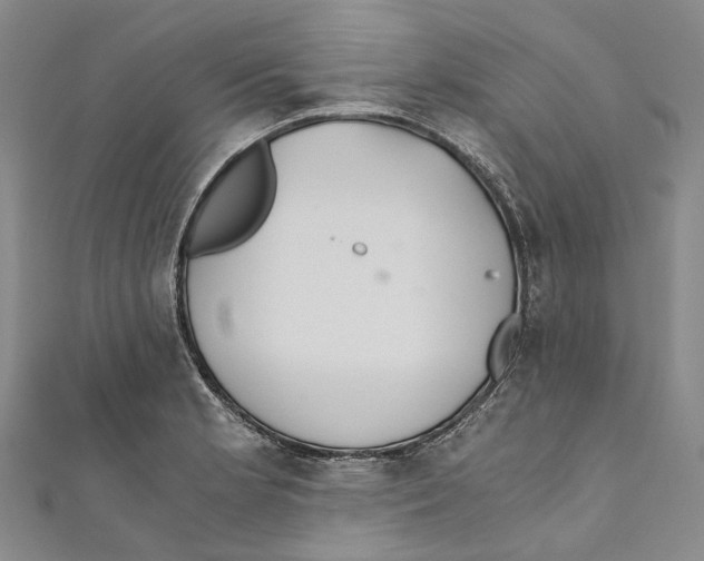 X0000110691181200907101142