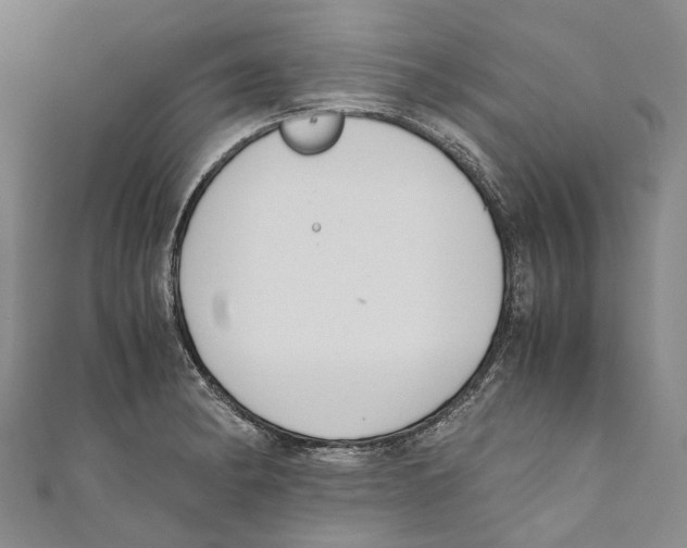 X0000110691182200907101142