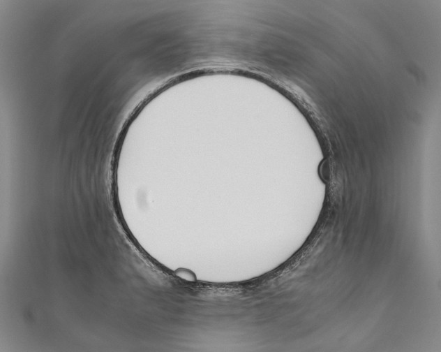 X0000110691183200907101142