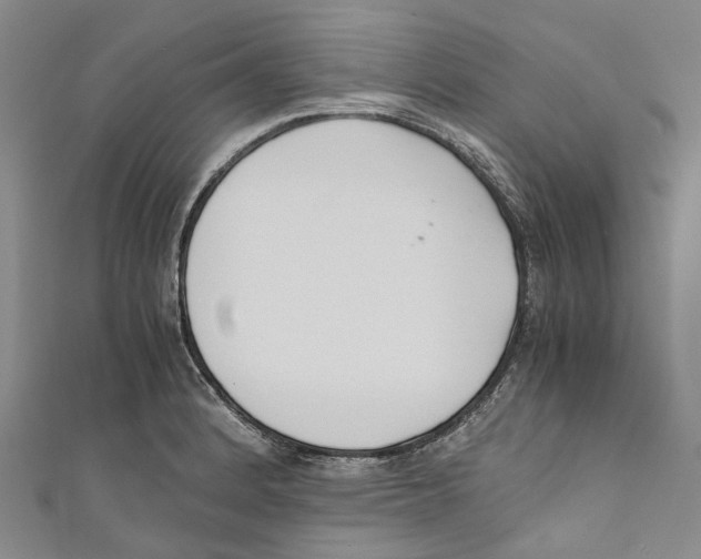 X0000110691184200907101142