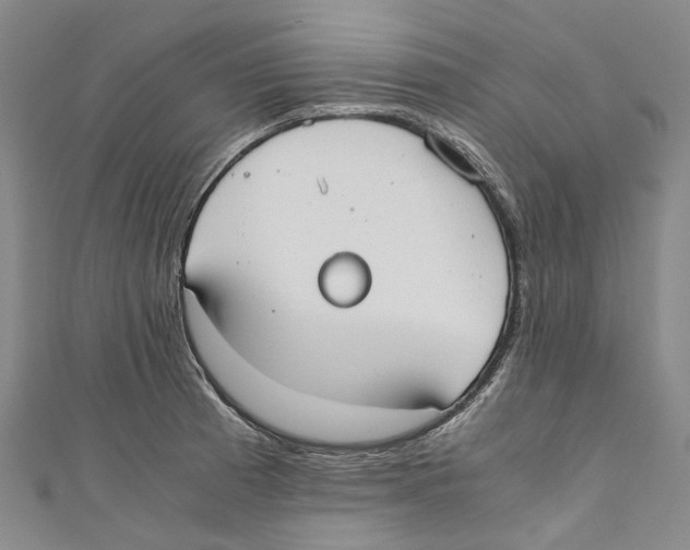 X0000110691185200907101142