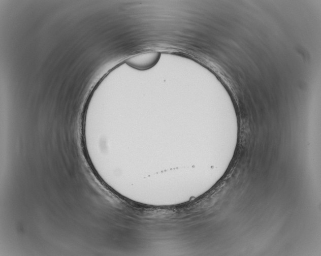 X0000110691187200907101142