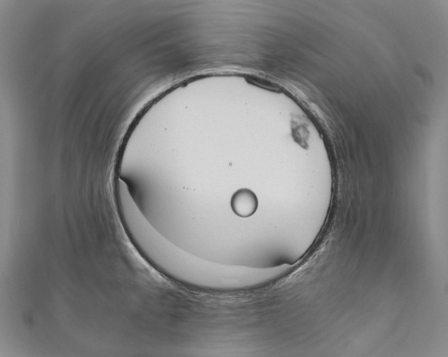 X0000110691189200907101142