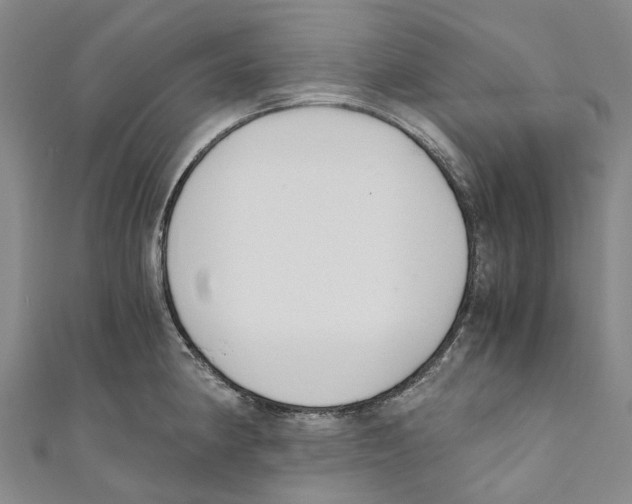 X0000110691190200907101142