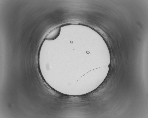 X0000110691191200907101142