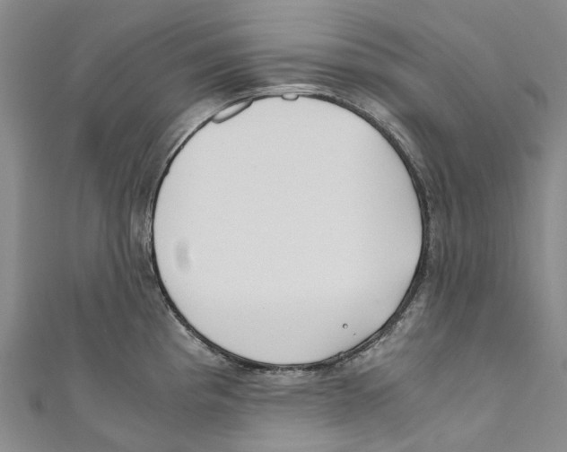 X0000110691193200907101142