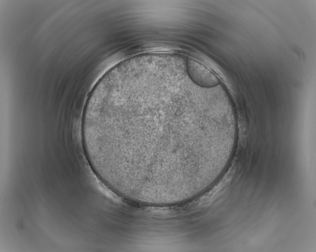 X0000110691194200907101142