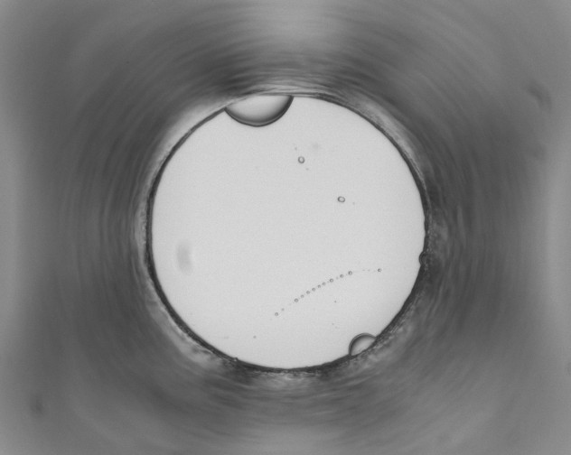 X0000110691195200907101142