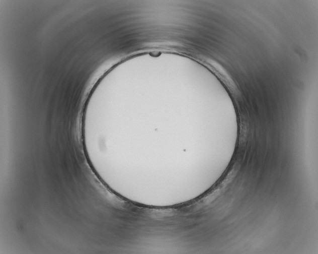 X0000110691196200907101142