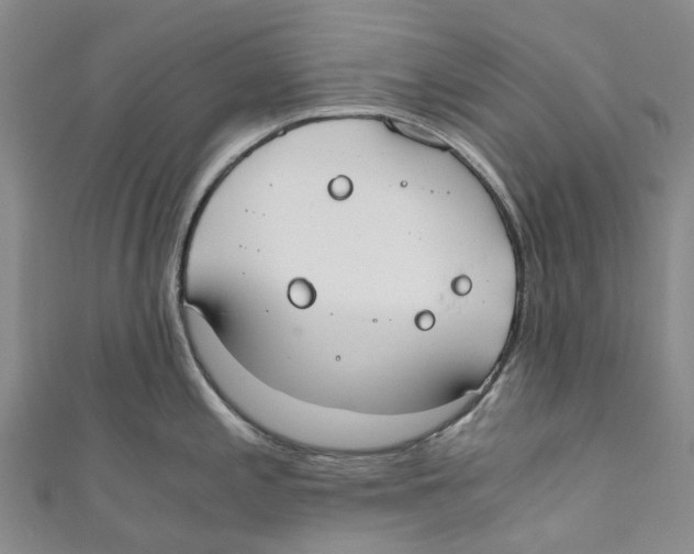 X0000110691197200907101142