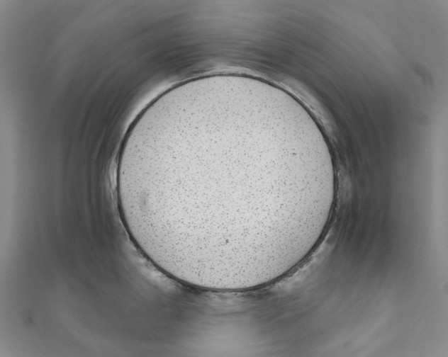 X0000110691198200907101142