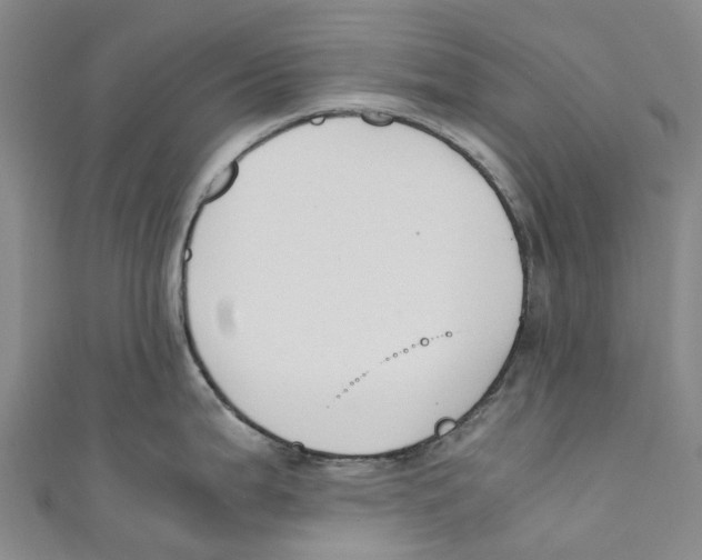 X0000110691199200907101142