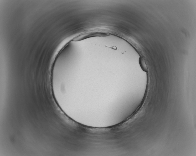 X0000110691200200907101142