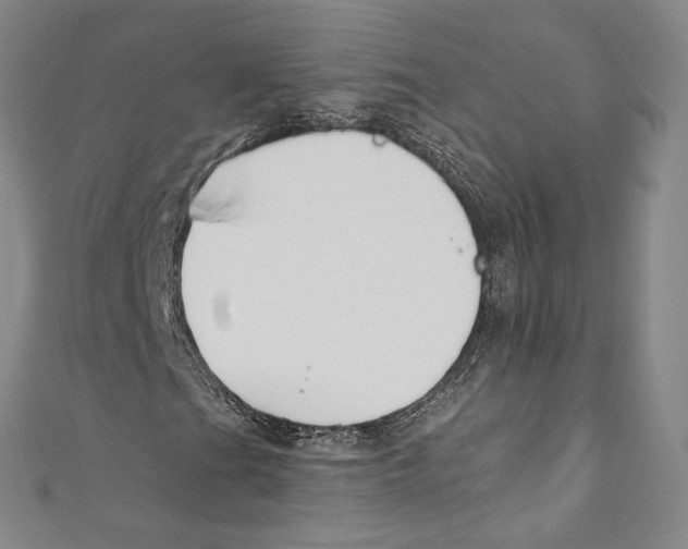 X0000110691201200907101141