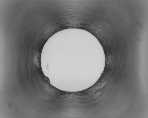 X0000110691202200907101141