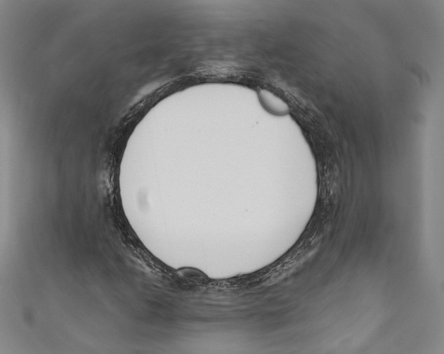 X0000110691206200907101141