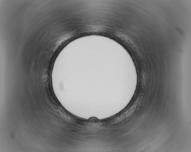 X0000110691210200907101141