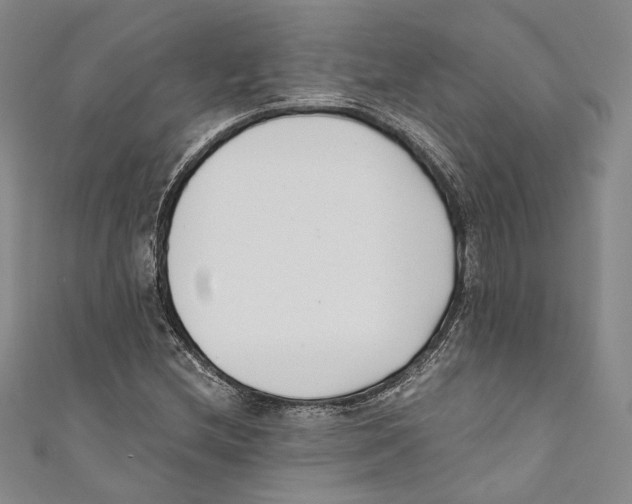 X0000110691212200907101141