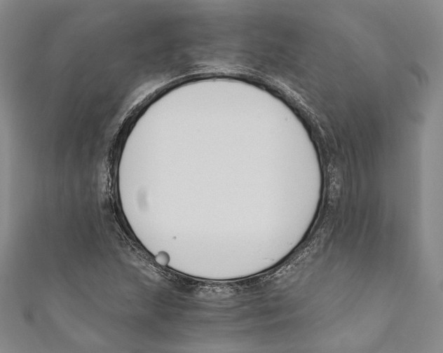 X0000110691215200907101141