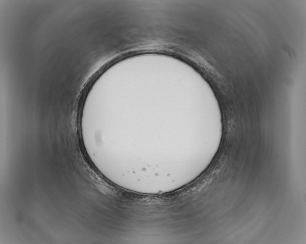 X0000110691216200907101141