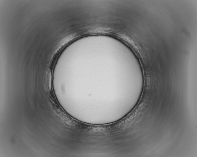 X0000110691219200907101141