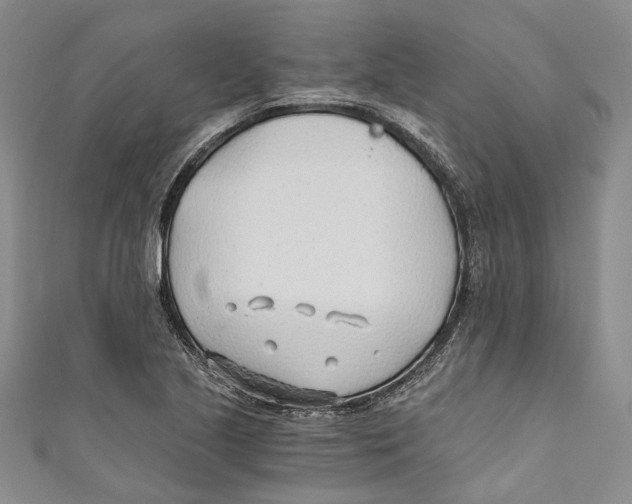 X0000110691221200907101141