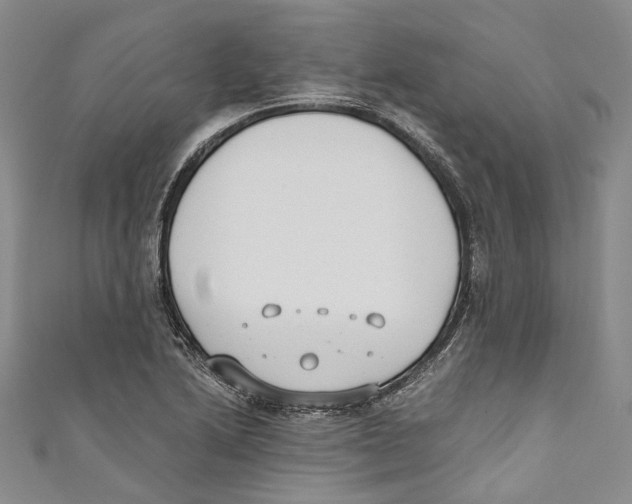 X0000110691222200907101141