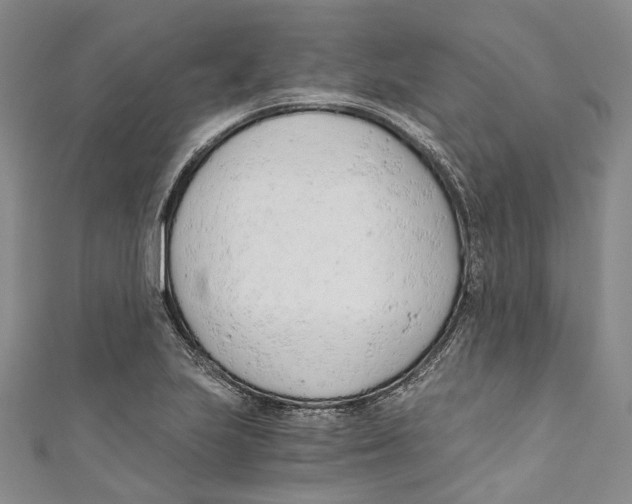 X0000110691223200907101141