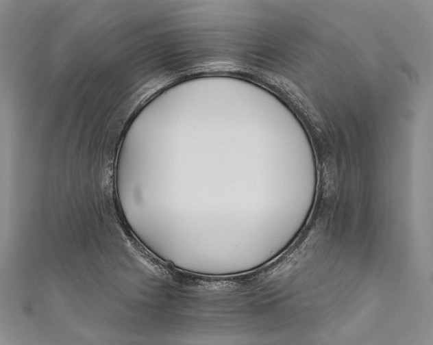 X0000110691225200907101141