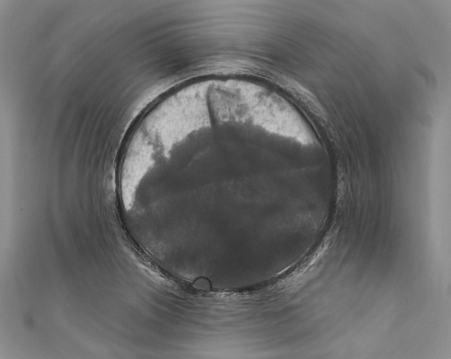 X0000110691226200907101141