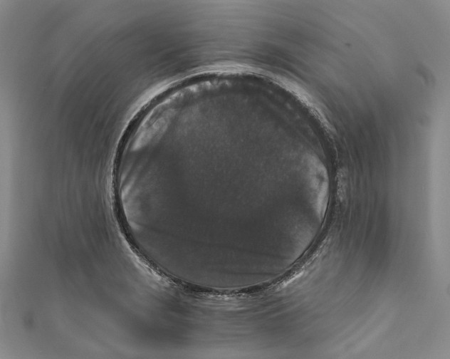 X0000110691229200907101141