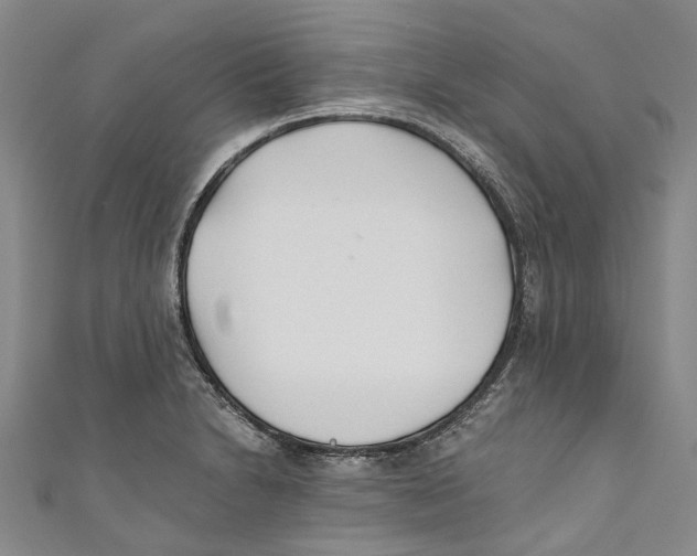 X0000110691230200907101141