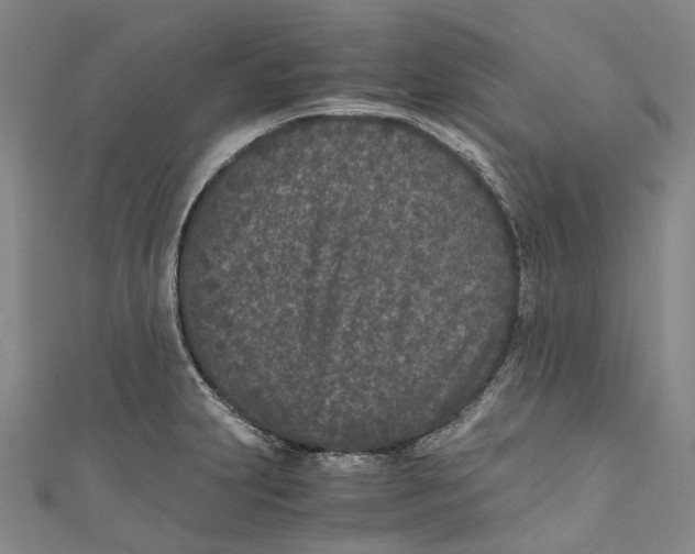 X0000110691231200907101141