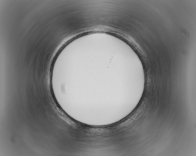 X0000110691232200907101141