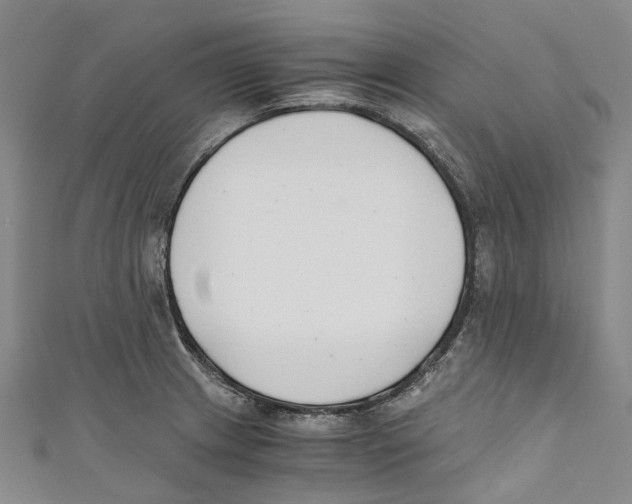 X0000110691233200907101141