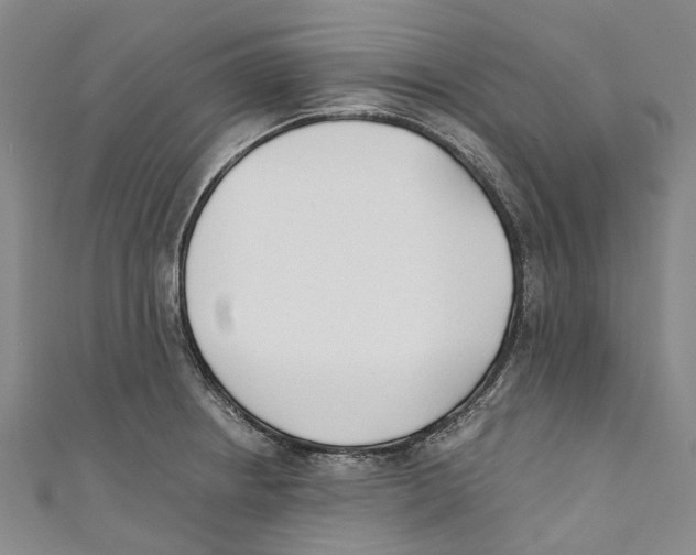 X0000110691234200907101141