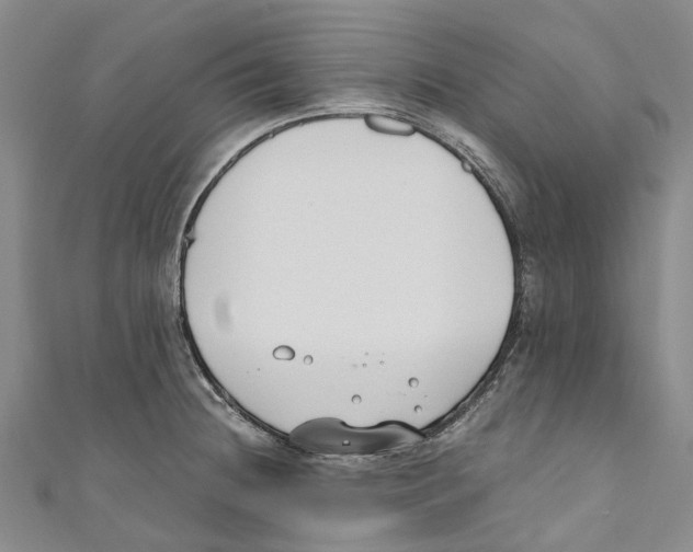 X0000110691236200907101141