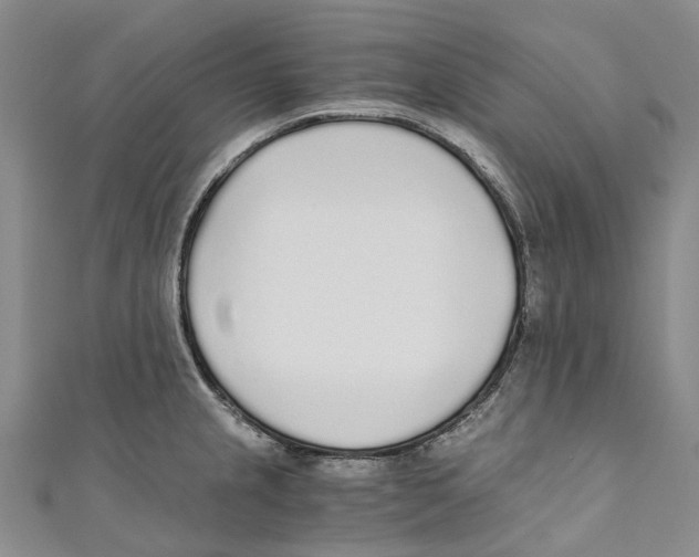 X0000110691237200907101141