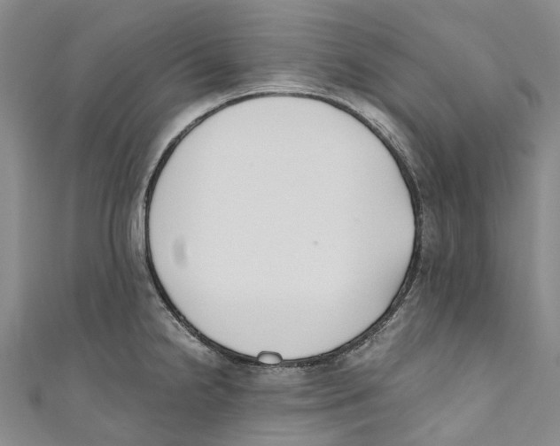 X0000110691238200907101141