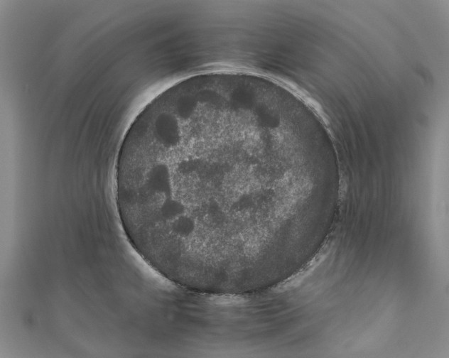 X0000110691239200907101141