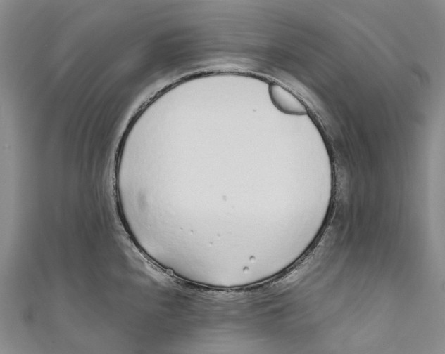 X0000110691240200907101141