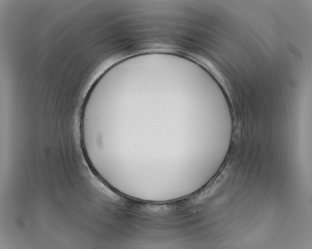 X0000110691243200907101141