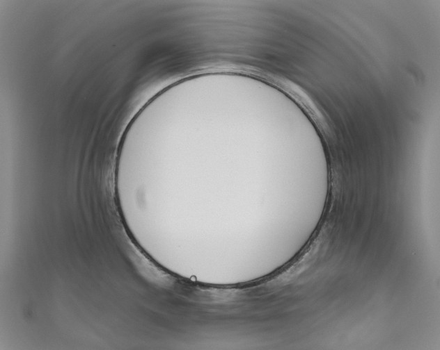 X0000110691244200907101141