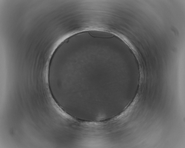 X0000110691246200907101142